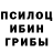 Галлюциногенные грибы мицелий Debil Tupoi