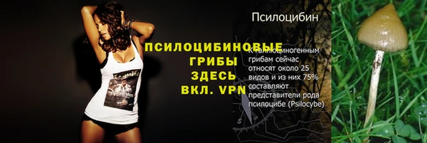 гашик Михайловка