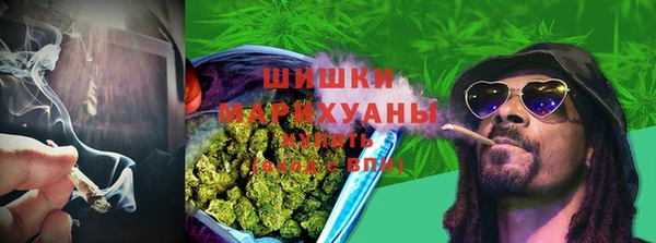 гашик Михайловка