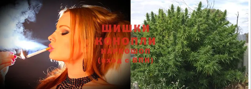 Канабис OG Kush  Остров 